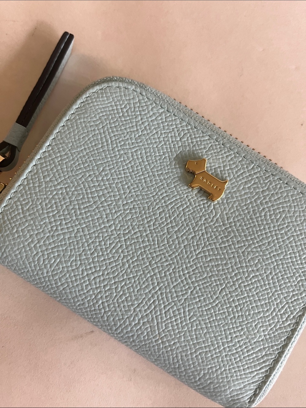 Radley London light Blue zippered wallet card case